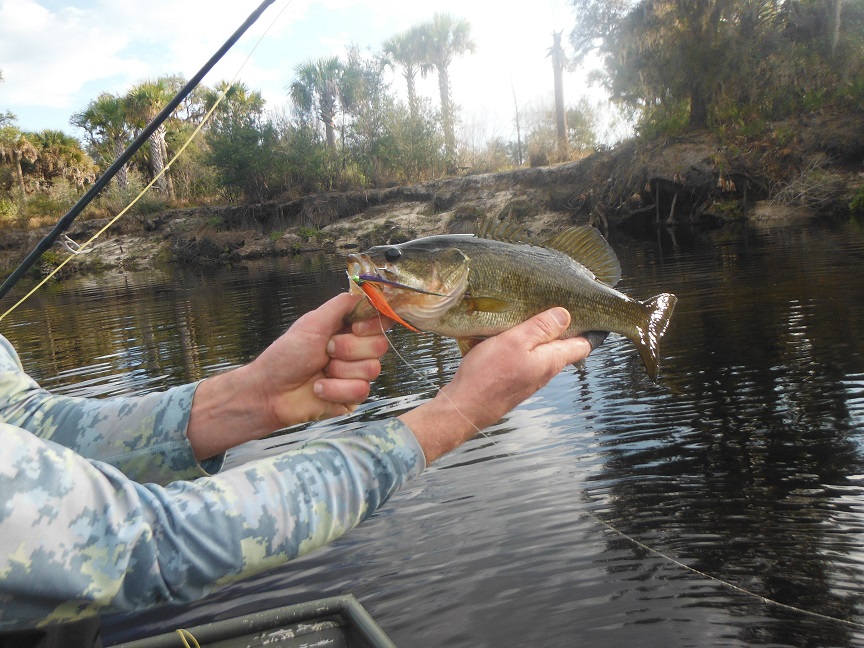 Largemouth bass fly fishing charters in Forida