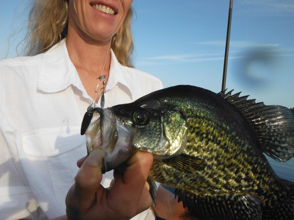 crappie fishing