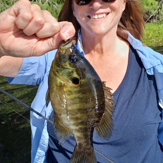 shellcracker fishing in Florida