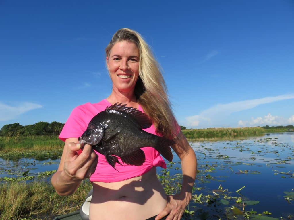 bluegill fishing in Florida