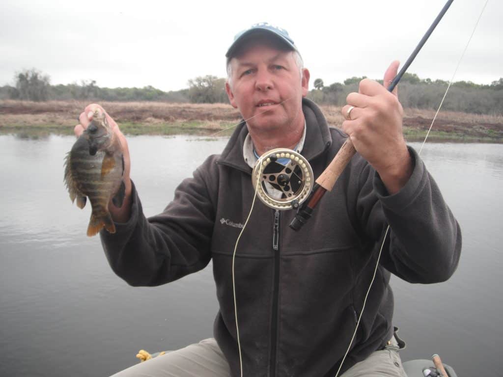 fly fishing for bluegill