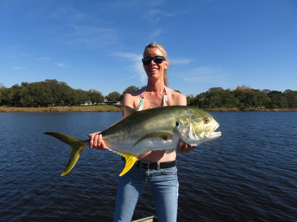 Crystal River jack crevalle fishing